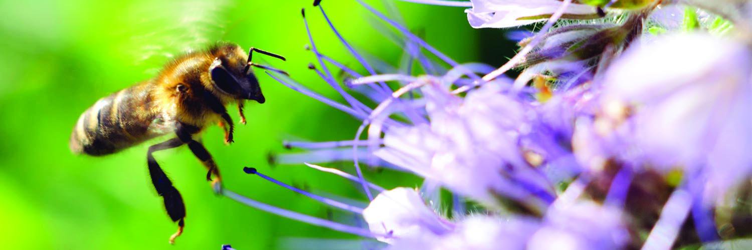 gemmalacey_tsc's profile banner image
