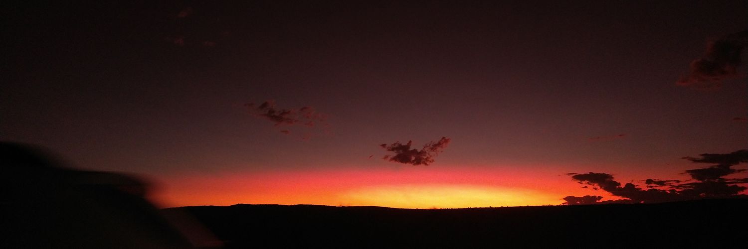 natideli's profile banner image