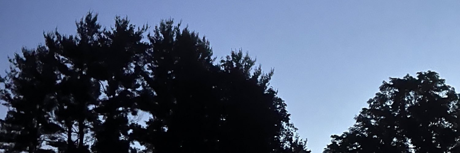 Leandrocuts's profile banner image