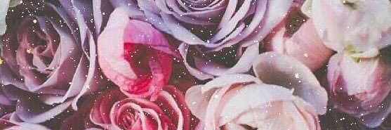 ElcinYazz's profile banner image