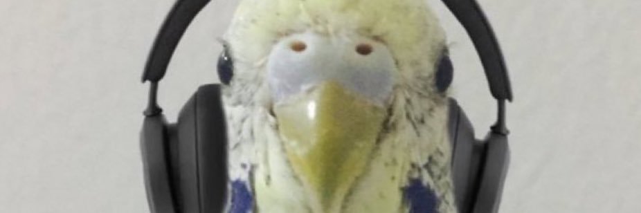 SeverbeniKocero's profile banner image