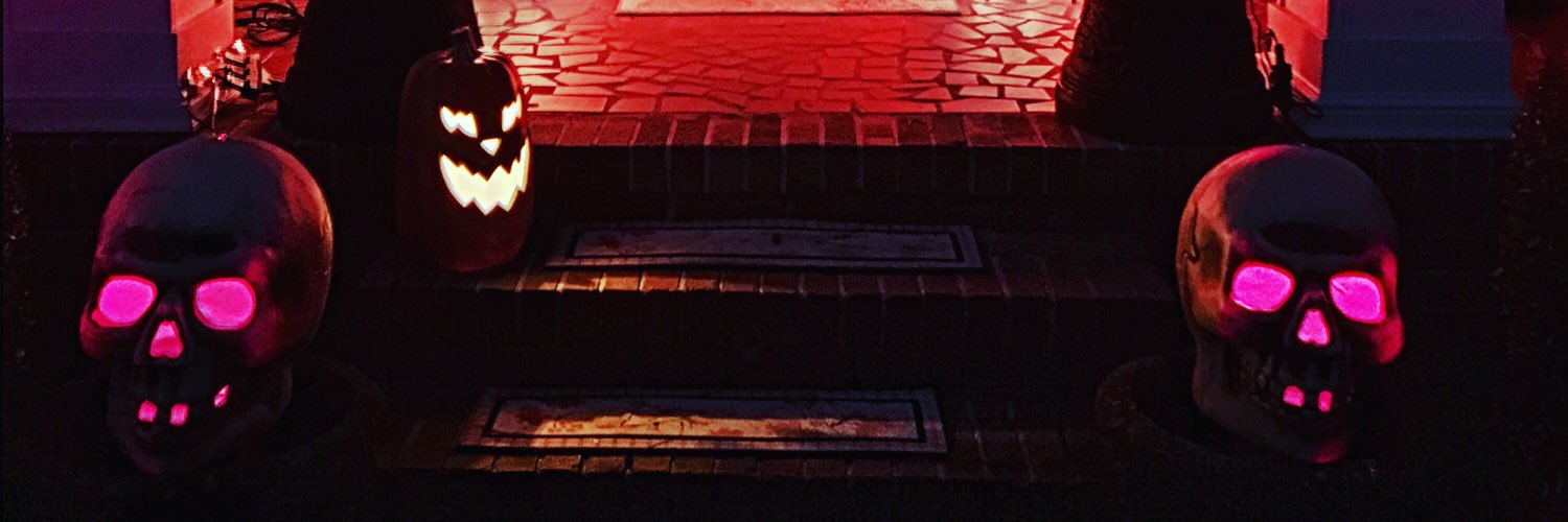 SarahZinkann's profile banner image