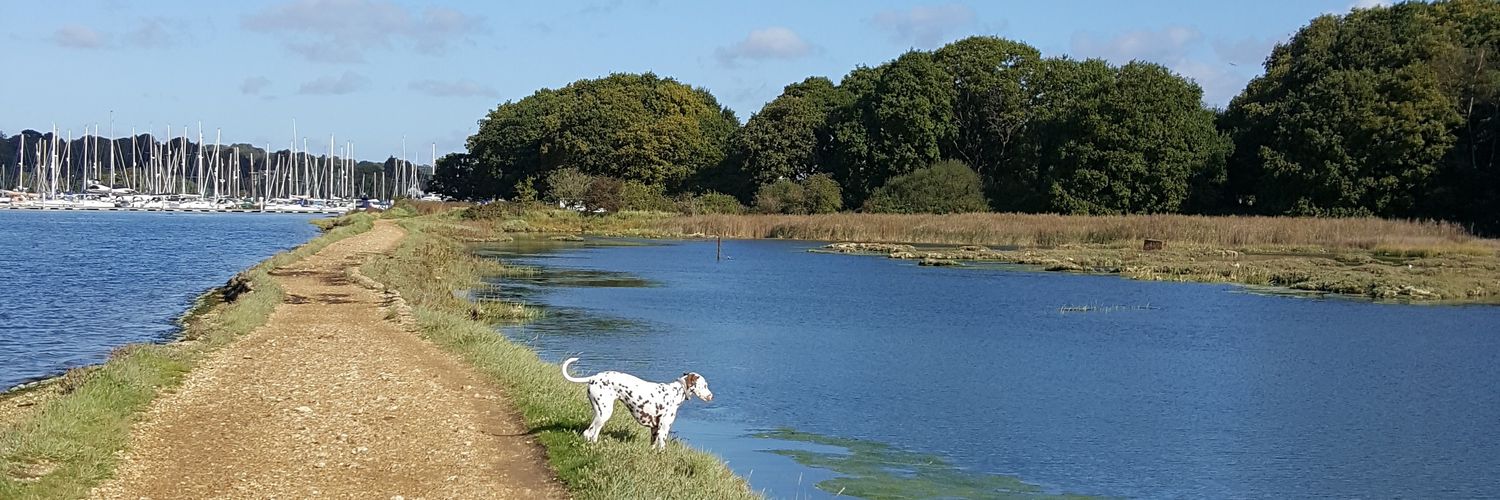 charlottewhurst's profile banner image
