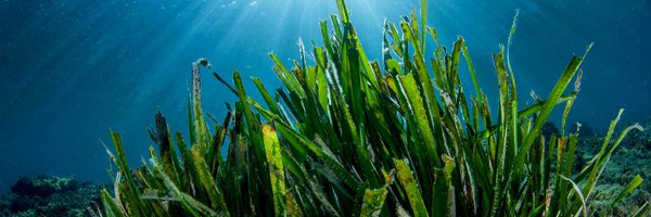 TheMedFund Profile Banner