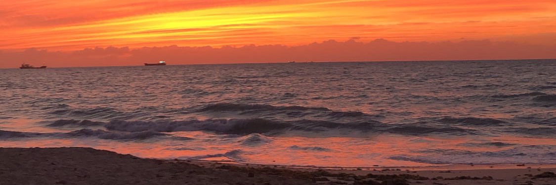 part-time vegan pt. 2 🌱 banner