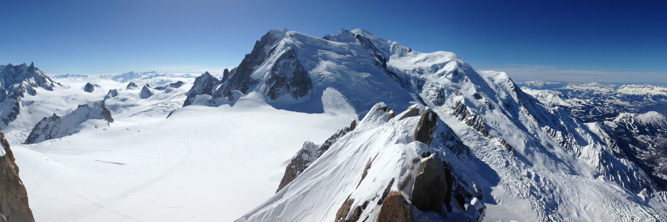 Louise Hartley banner