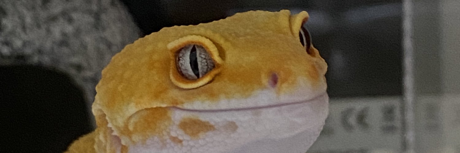 R4dishP4ste's profile banner image