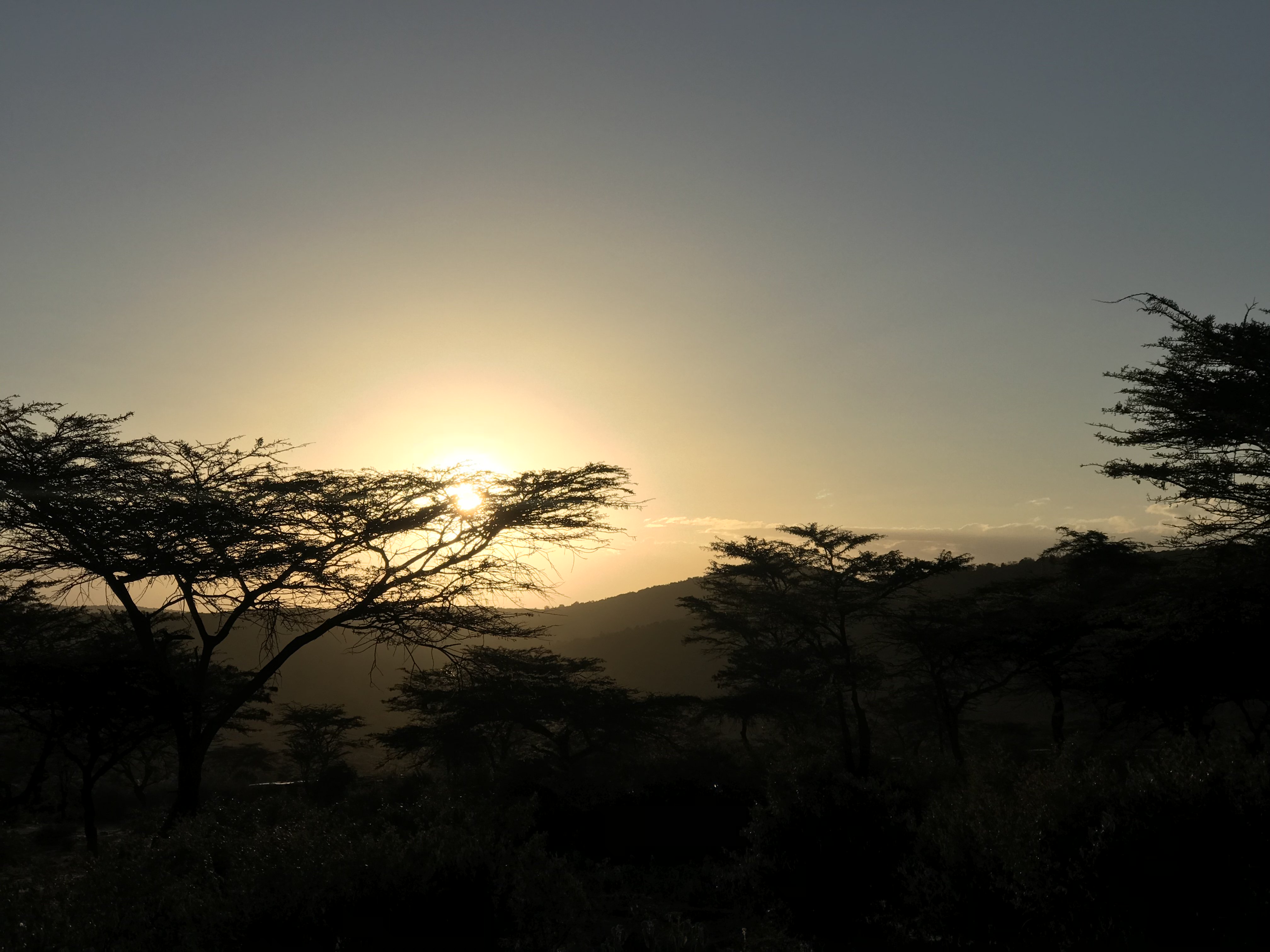 TheTanyaMo's profile banner image