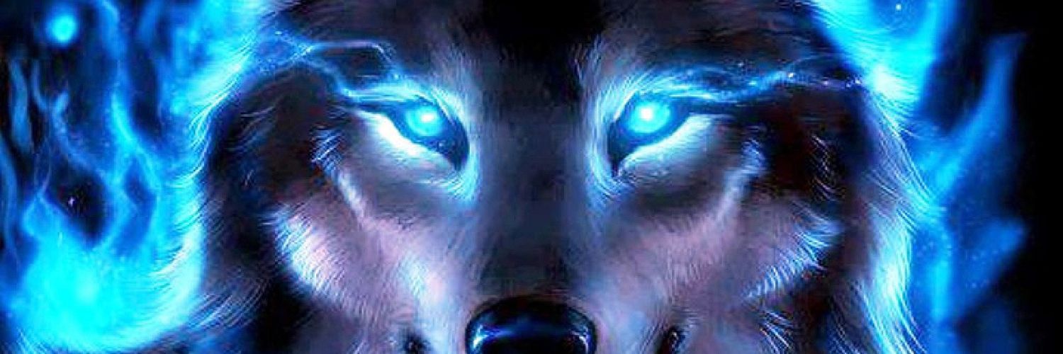 Wolfeman65's profile banner image