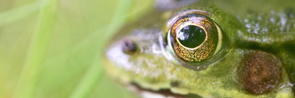 AlgonquinWRS Profile Banner