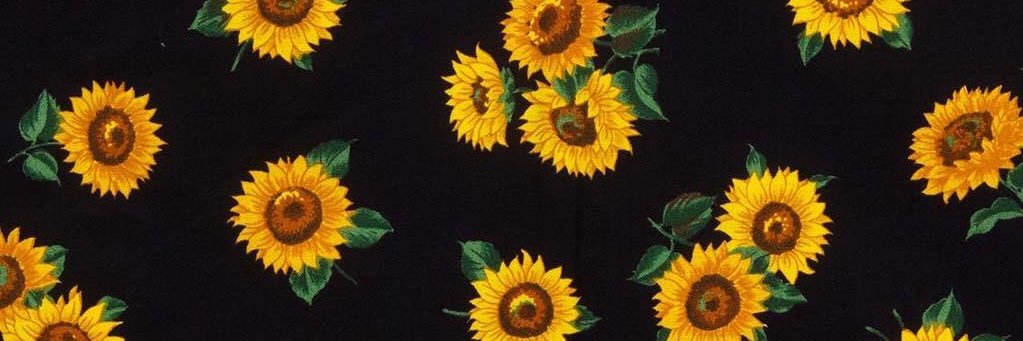 HayleyAdams14's profile banner image