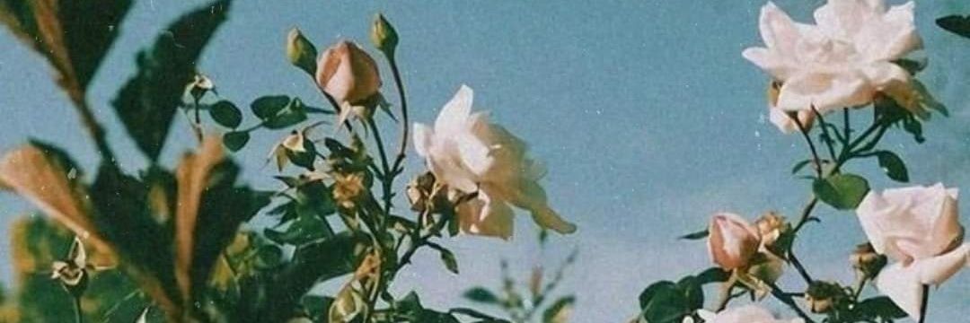 marinausername's profile banner image