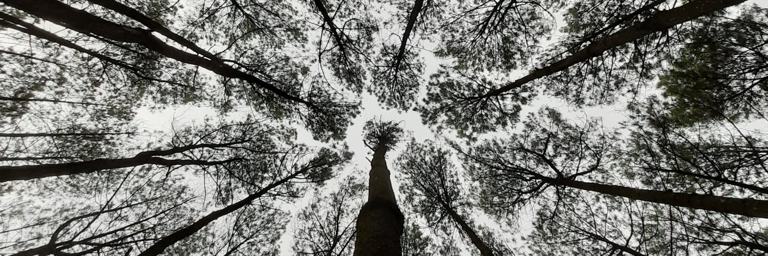 a7650090's banner