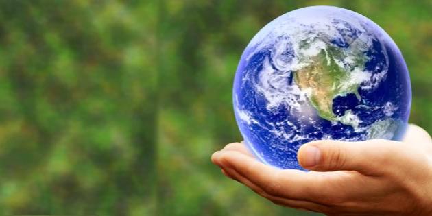 🇭🇺🌎🌷Éva Voris🐶🌿🇺🇸 banner