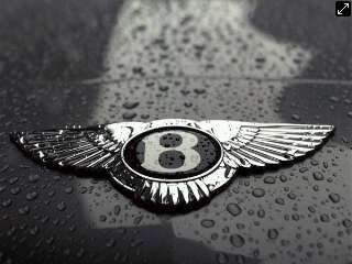 Molf St. Patrick banner