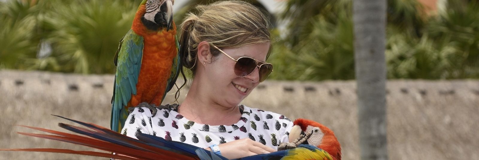 GrandmaBrianne's profile banner image