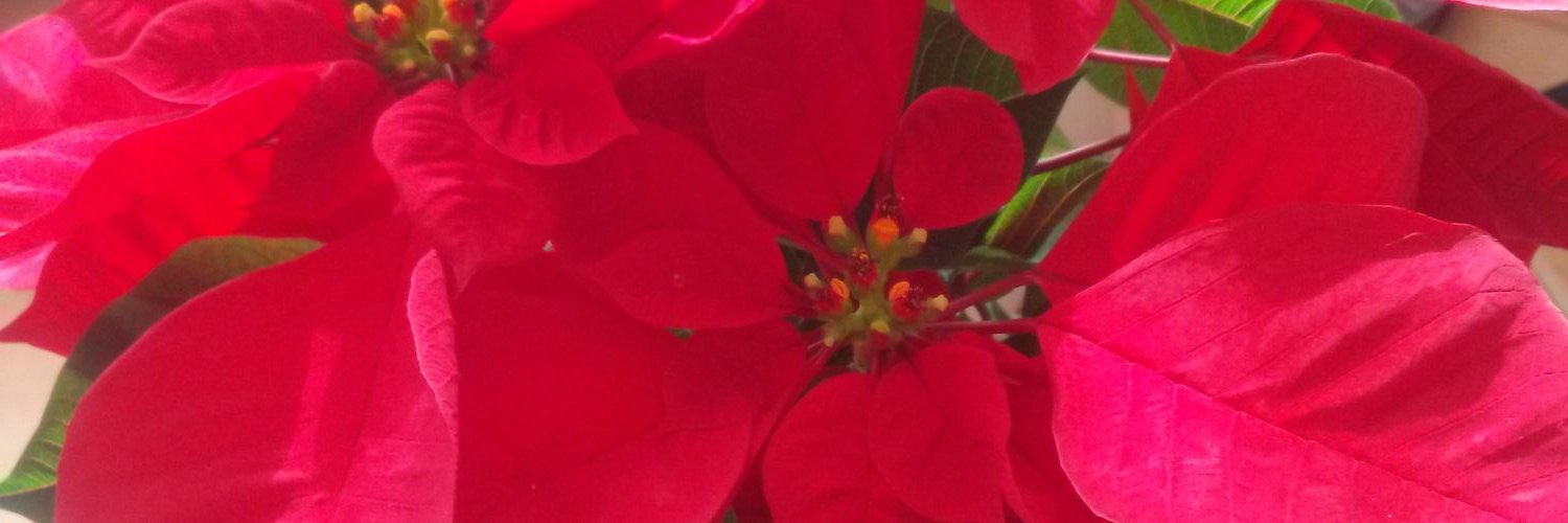 Lopez92803605's profile banner image