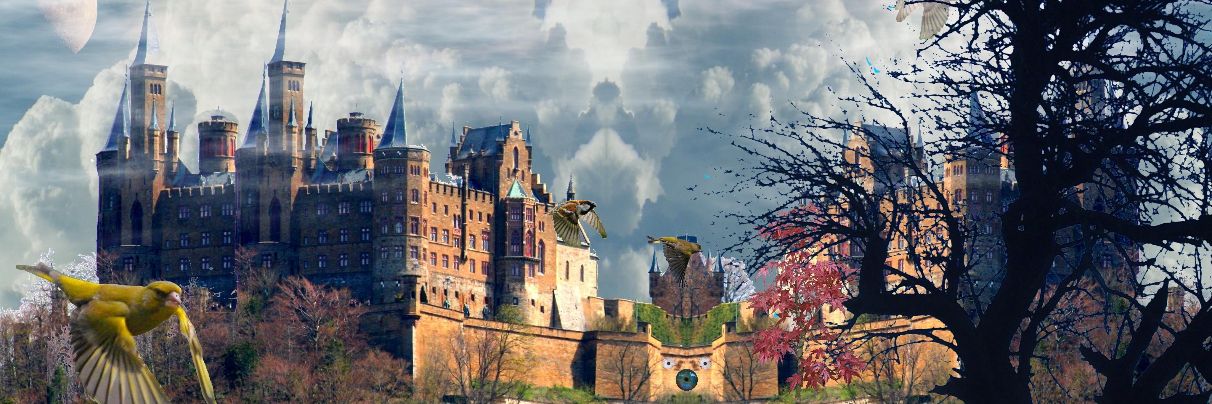 Edgar Allan Poe™'s banner