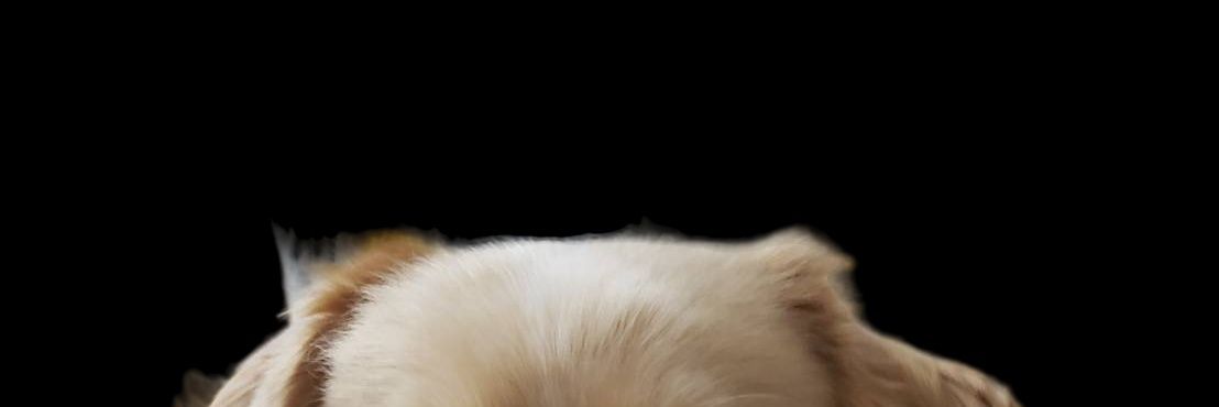 0_kilala's profile banner image