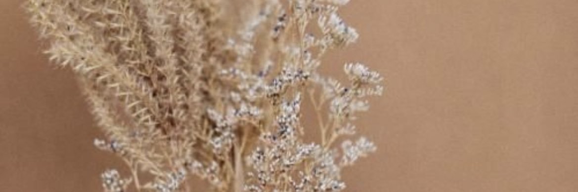_ferniiee's profile banner image