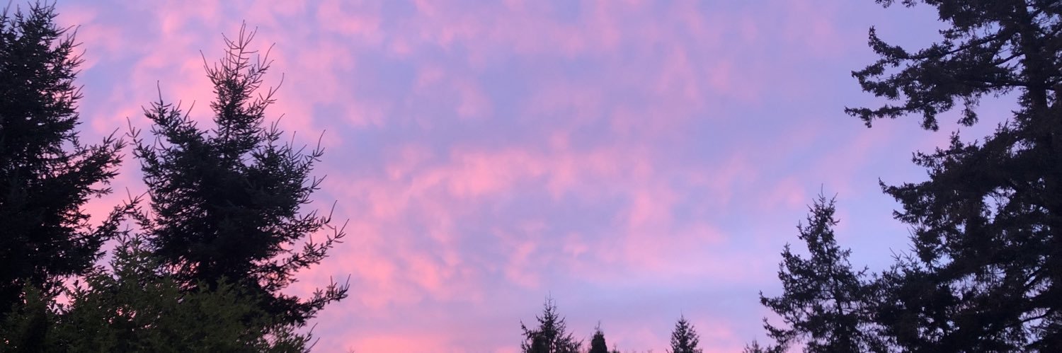 mintykat 🌸🐮 banner