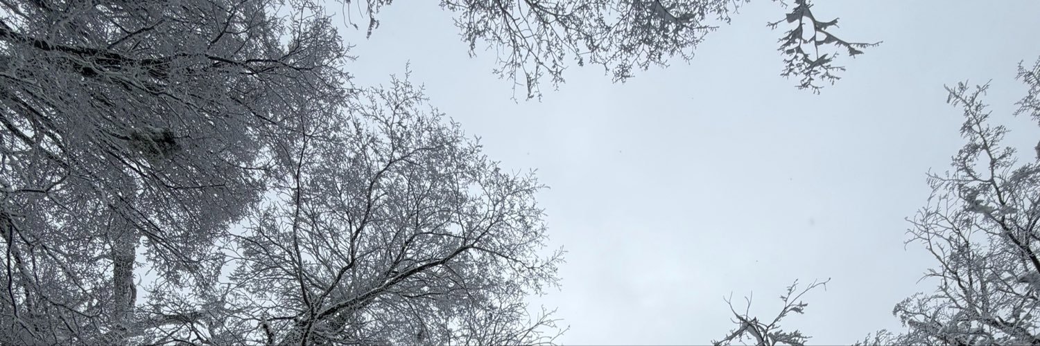 victorgmsc's profile banner image