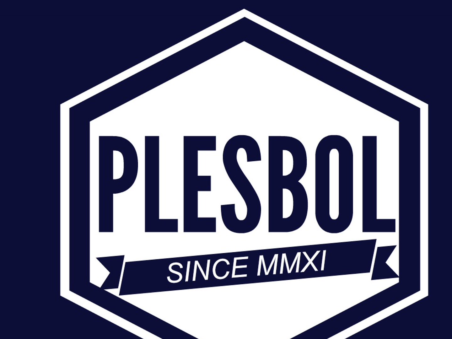 Plesbol banner