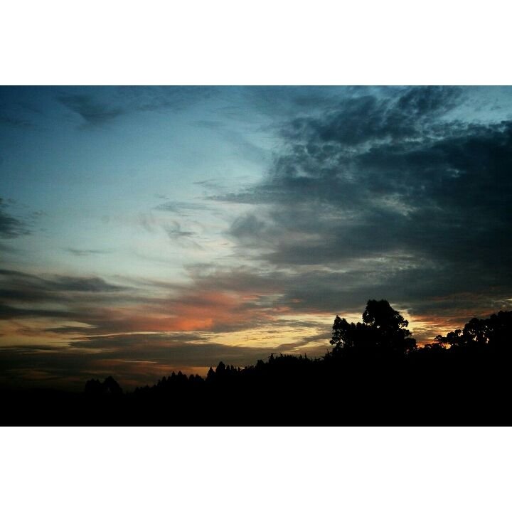 MariaMartinez92's profile banner image