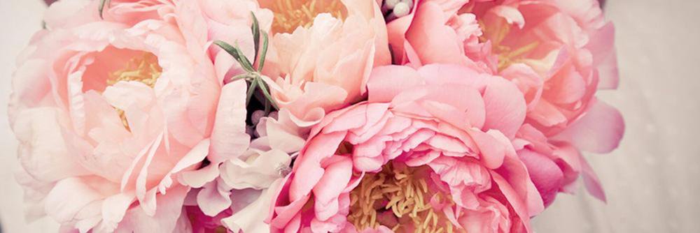 BetsyiRobbins's profile banner image