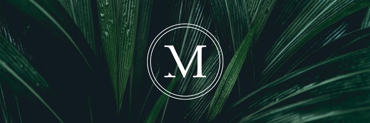 monasolutions's profile banner image