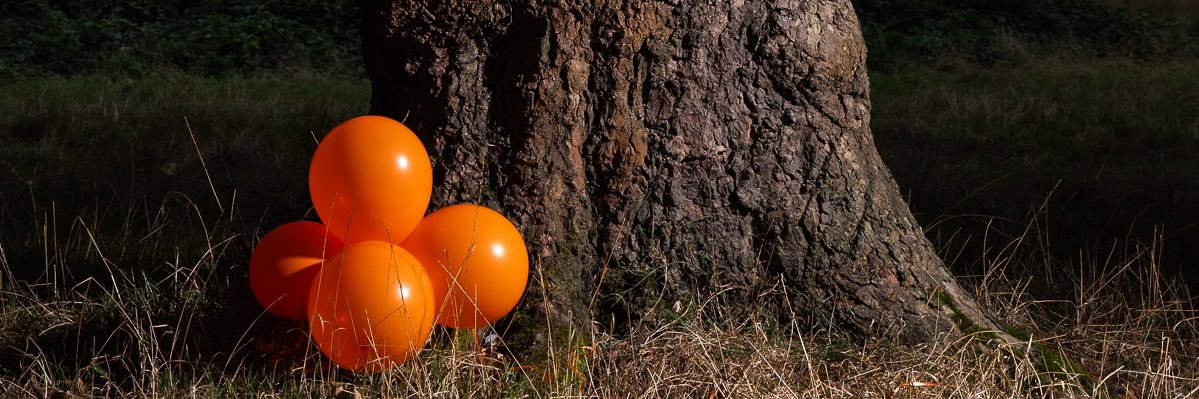 regularduke's profile banner image