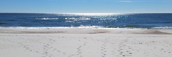 shuff13 Profile Banner