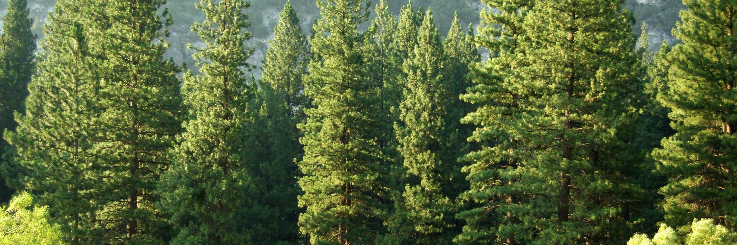 Jonathanmarkmit's profile banner image