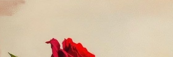 alnour_76's profile banner image