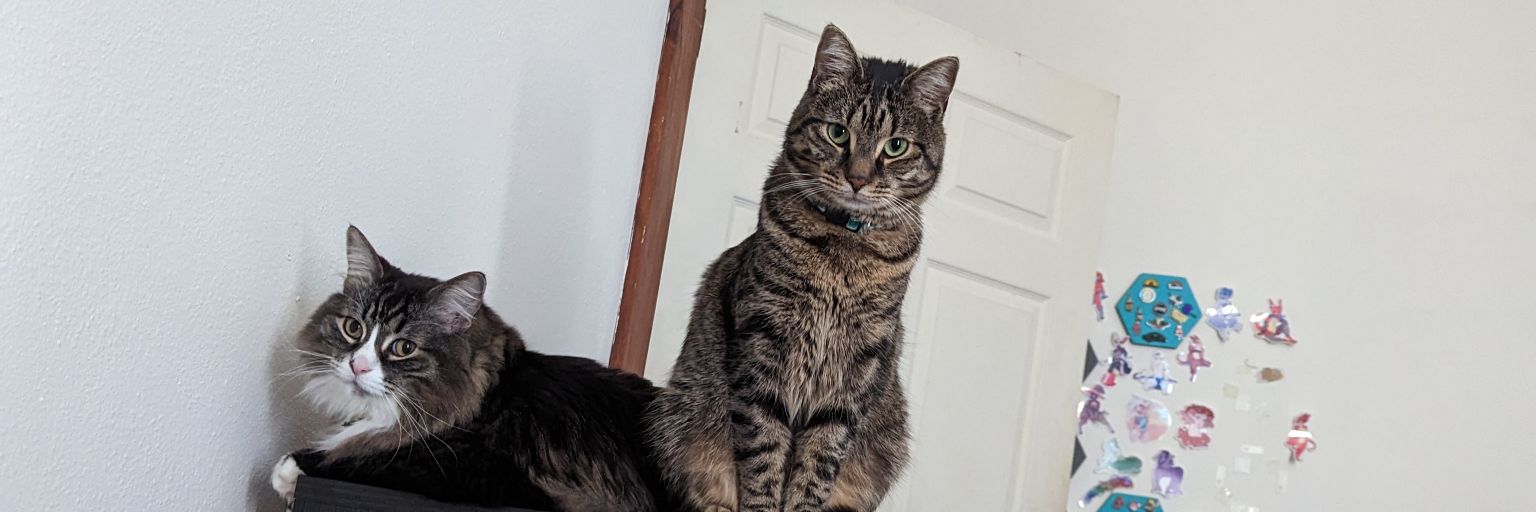 cookieandmochi_'s profile banner image