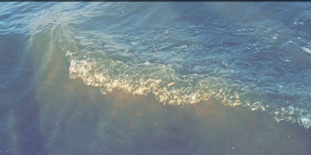 SarahElmore7's profile banner image