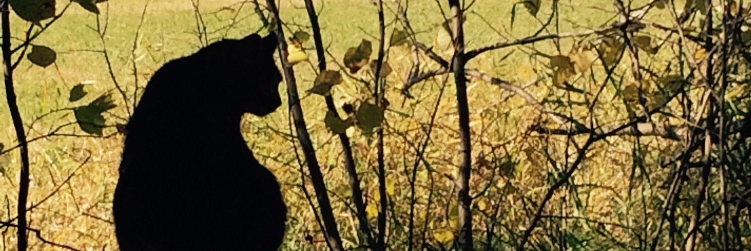 brotherk_13's profile banner image