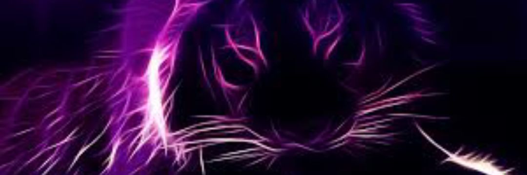 j_haley33's profile banner image