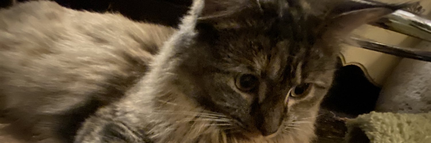 glass_void's profile banner image