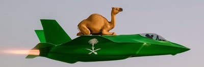 omalreem771's profile banner image