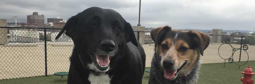 Jeremy Wilson banner