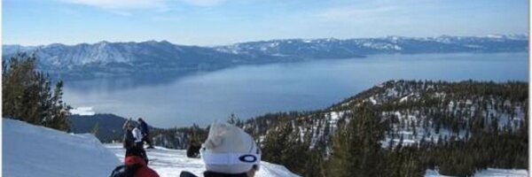 dygohogs Profile Banner