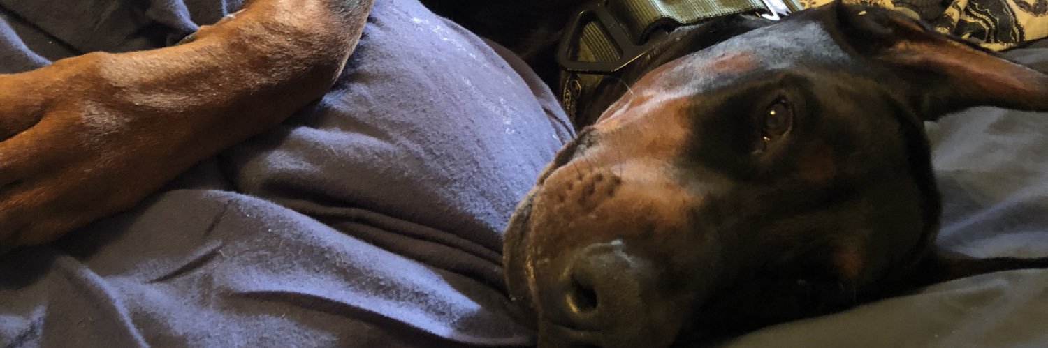 allexadee's profile banner image