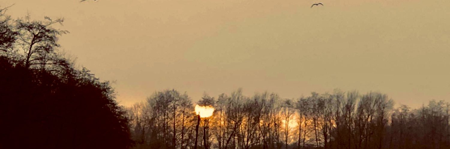 millieb___'s profile banner image