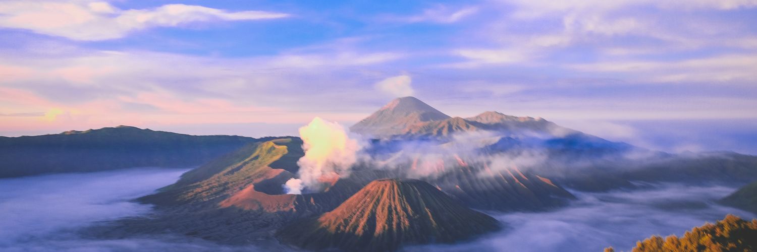 steviabae's profile banner image