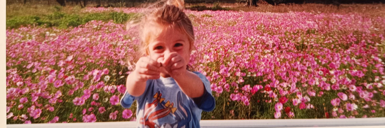 CaroAppo's profile banner image