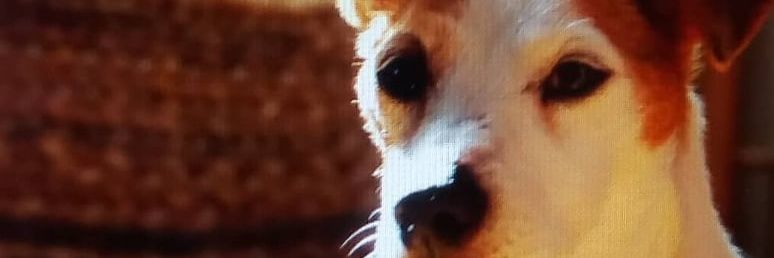 sadthummb's profile banner image