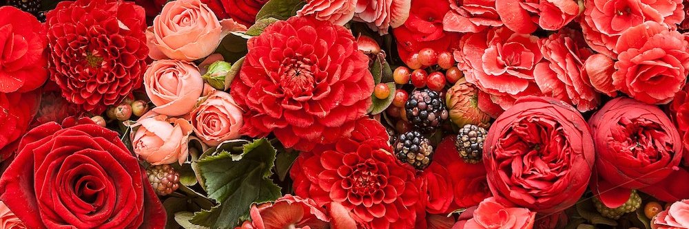 seydanurkckoglu's profile banner image