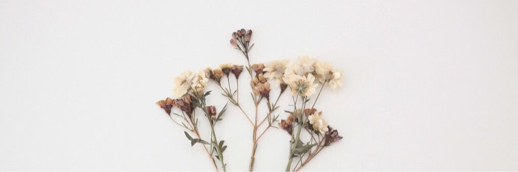 babyslowdownx's profile banner image