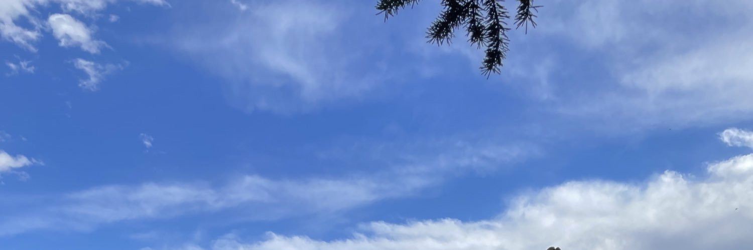 Poofefere's profile banner image